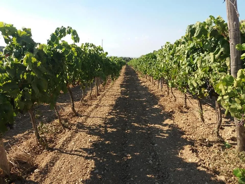 Le Sorelle Del Vino Marzamemi